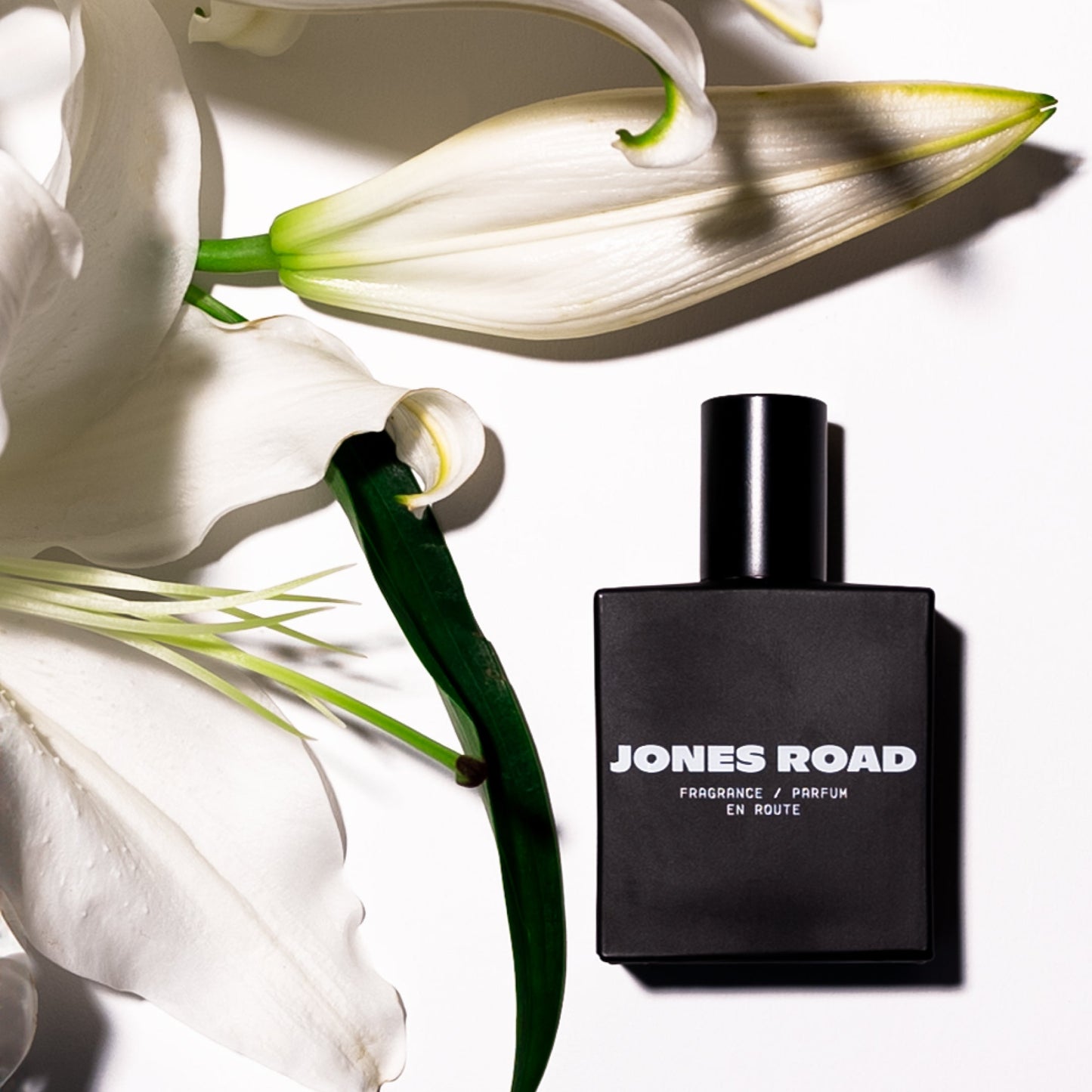 Jones Road - En Route